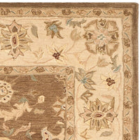 Safavieh Anatolia An557B Brown / Beige Area Rug