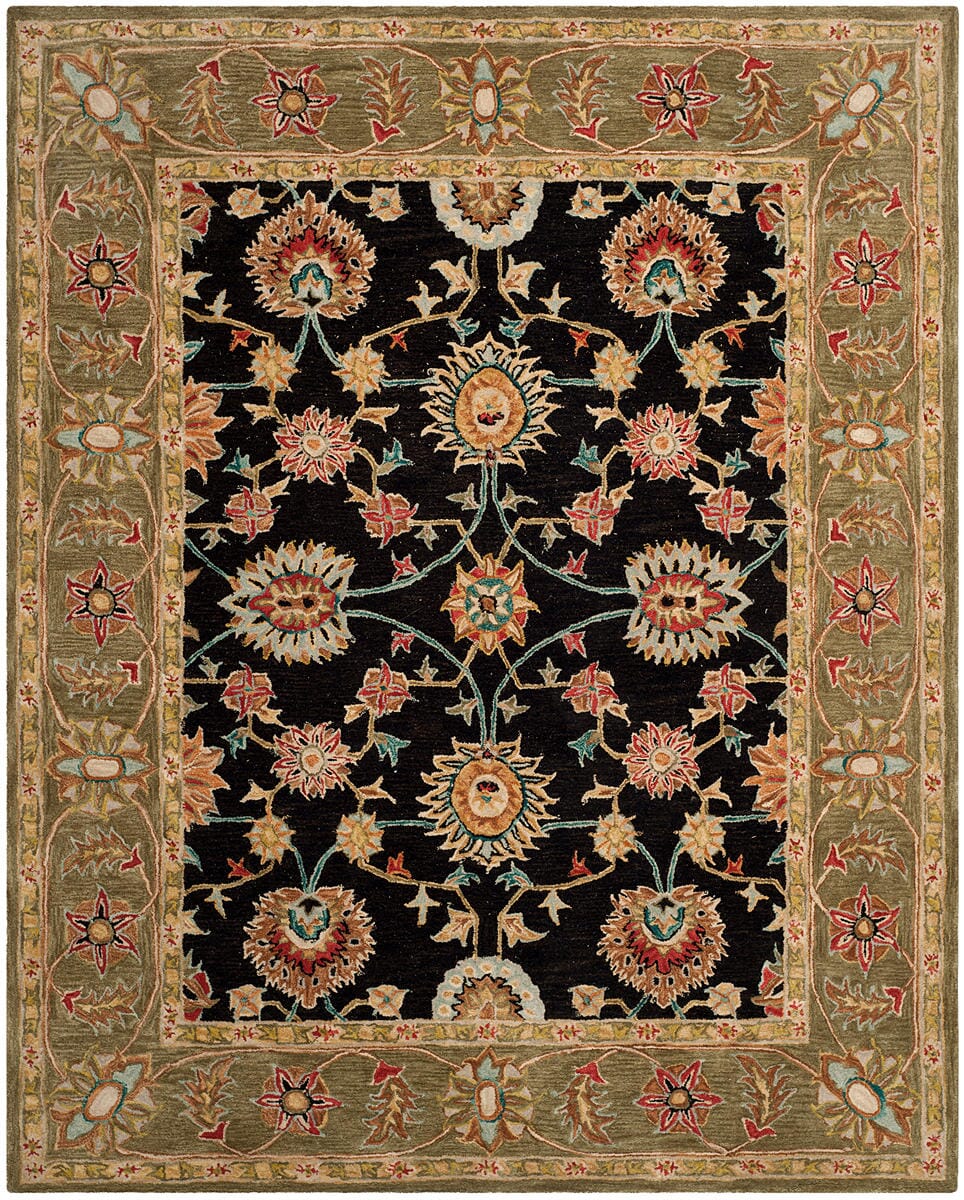 Safavieh Anatolia An561C Black / Green Area Rug