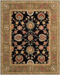 Safavieh Anatolia An561C Black / Green Area Rug