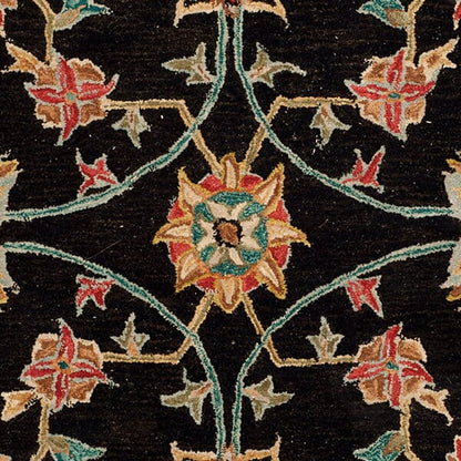 Safavieh Anatolia An561C Black / Green Area Rug