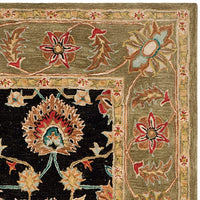 Safavieh Anatolia An561C Black / Green Area Rug