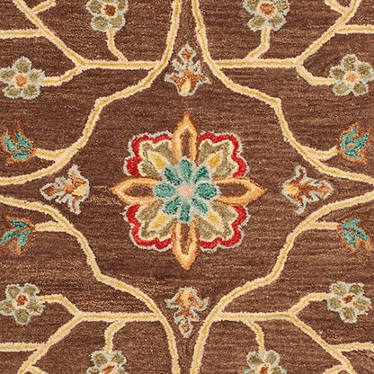 Safavieh Anatolia An562A Brown / Gold Area Rug