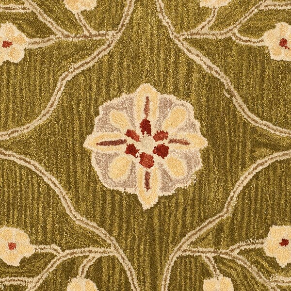 Safavieh Anatolia An562D Moss / Ivory Area Rug