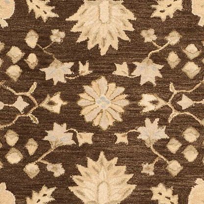 Safavieh Anatolia An564A Chocolate / Ivory Area Rug