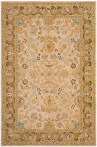 Safavieh Anatolia An576B Ivory / Brown Area Rug