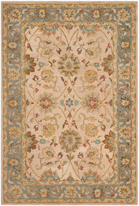 Safavieh Anatolia An580D Ivory / Blue Area Rug