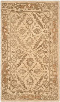 Safavieh Anatolia An583C Ivory / Grey Area Rug