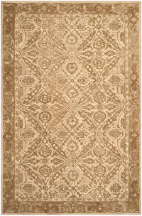 Safavieh Anatolia An583C Ivory / Grey Area Rug