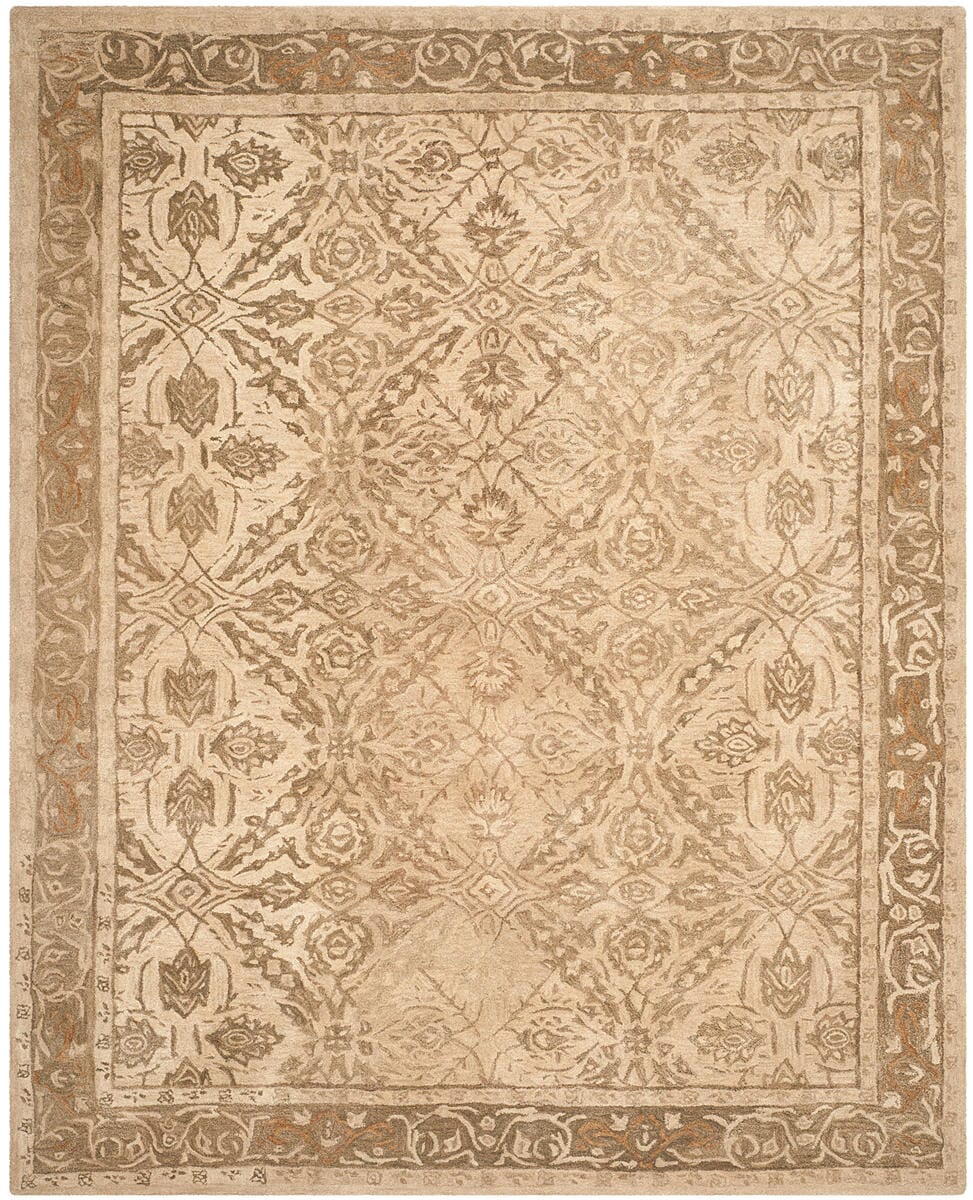 Safavieh Anatolia An583C Ivory / Grey Area Rug