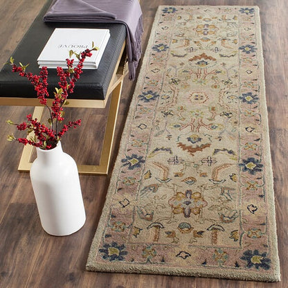 Safavieh Anatolia An585B Ivory / Beige Area Rug