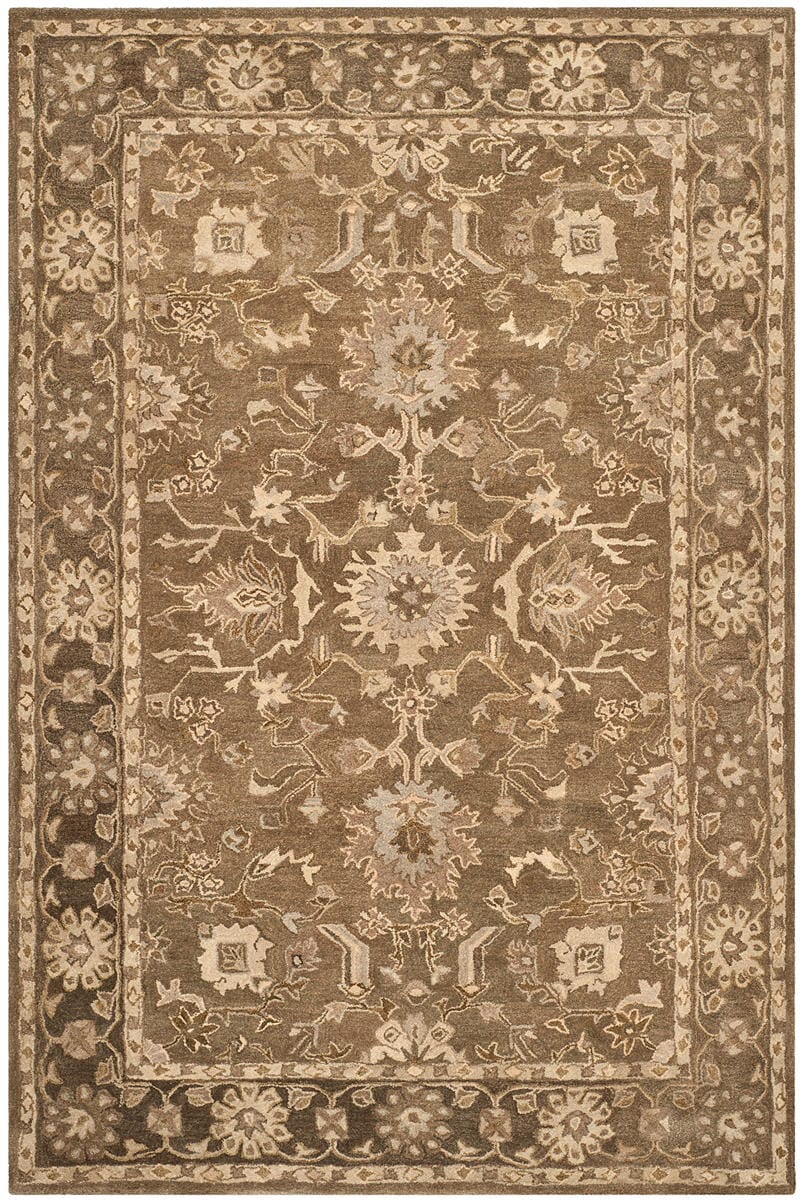 Safavieh Anatolia An585G Grey / Dark Grey Area Rug