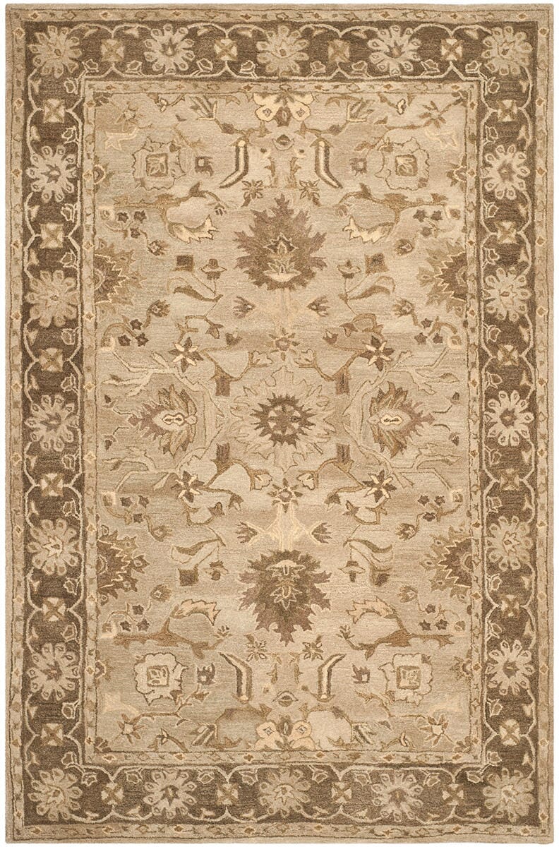 Safavieh Anatolia An585H Light Grey / Dark Brown Area Rug