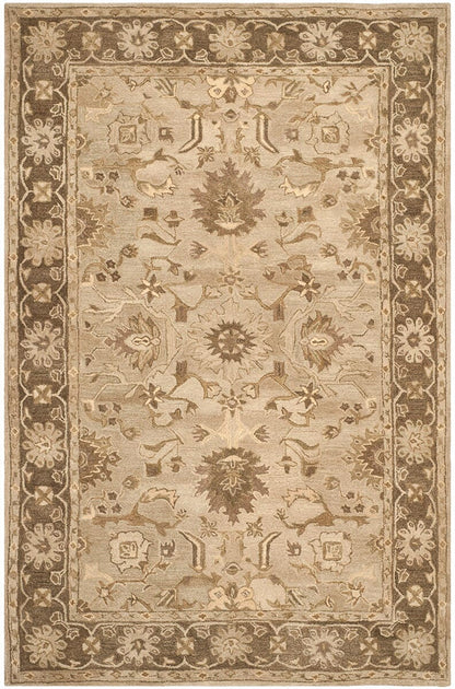 Safavieh Anatolia An585H Light Grey / Dark Brown Area Rug