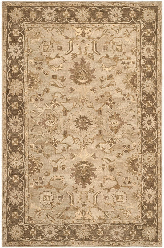 Safavieh Anatolia An585H Light Grey / Dark Brown Area Rug