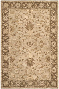 Safavieh Anatolia An585H Light Grey / Dark Brown Area Rug