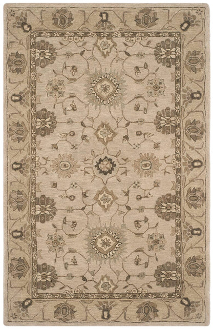 Safavieh Anatolia An586G Beige / Beige Area Rug