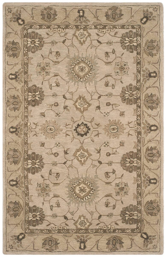 Safavieh Anatolia An586G Beige / Beige Area Rug