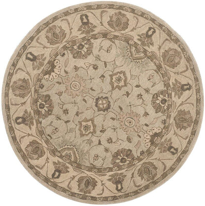 Safavieh Anatolia An586G Beige / Beige Area Rug