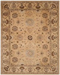 Safavieh Anatolia An586G Beige / Beige Area Rug