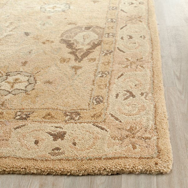 Safavieh Anatolia An587A Beige / Beige Area Rug