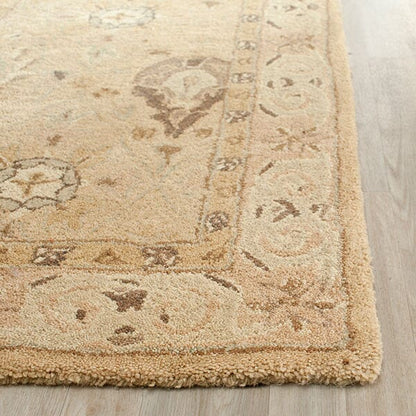 Safavieh Anatolia An587A Beige / Beige Area Rug