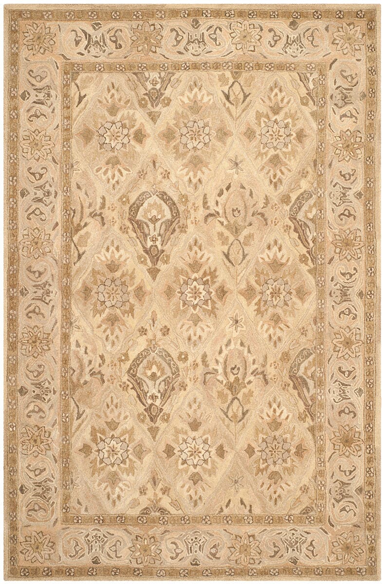 Safavieh Anatolia An587A Beige / Beige Area Rug