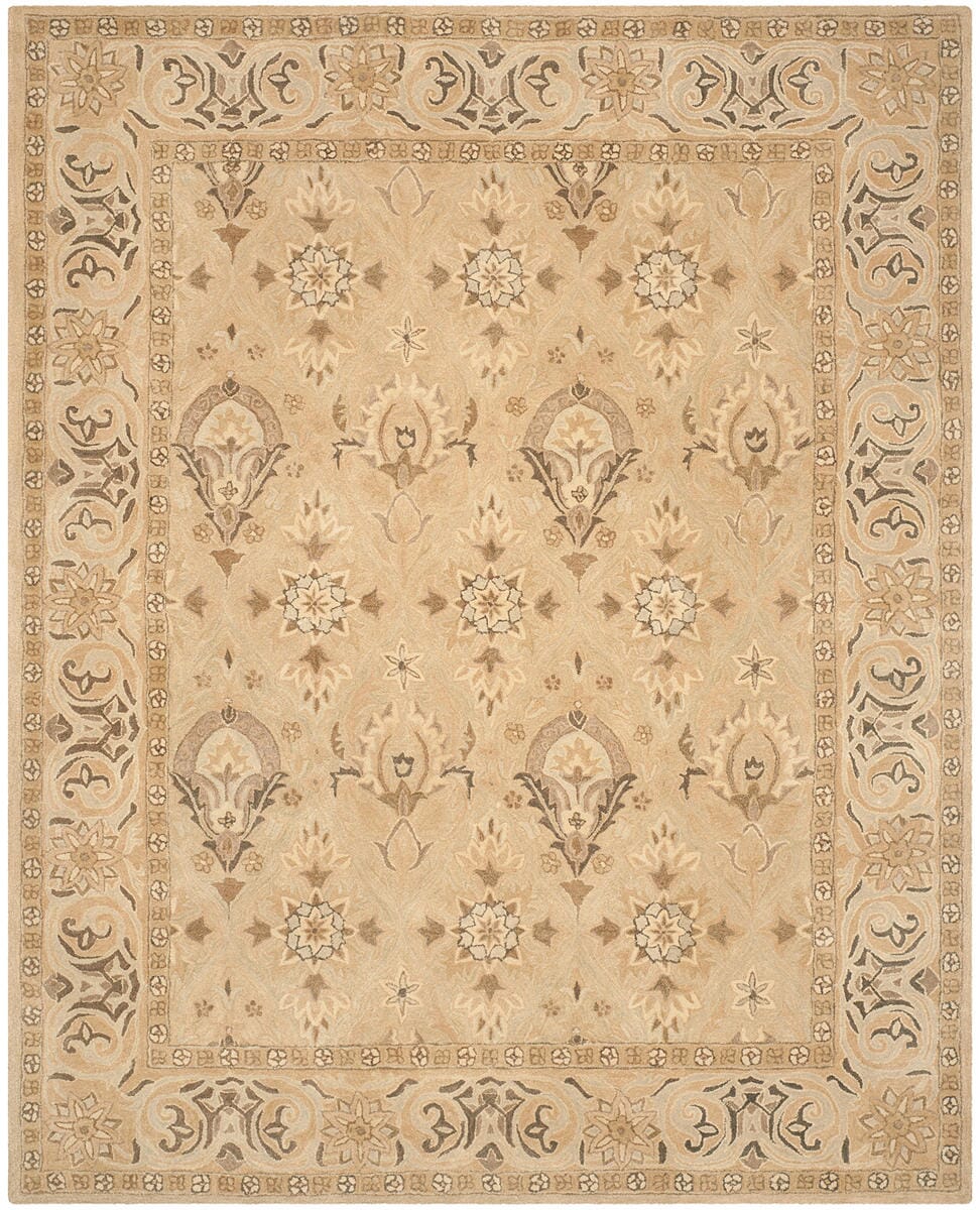 Safavieh Anatolia An587A Beige / Beige Area Rug