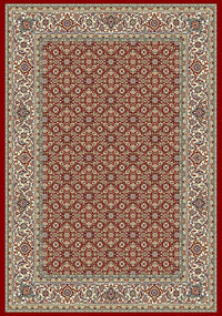 Dynamic Ancient Garden 57011 Red / Ivory Area Rug