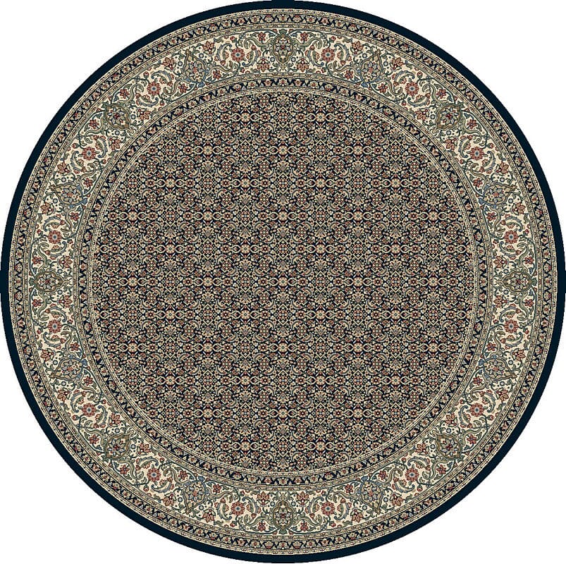 Dynamic Ancient Garden 57011 Navy Area Rug