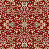 Dynamic Ancient Garden 57078 Red / Ivory Area Rug