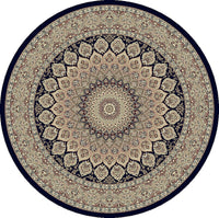 Dynamic Ancient Garden 57090 Navy Area Rug