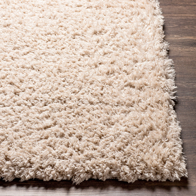 Surya Angora Ang-2301 Oatmeal Rug.