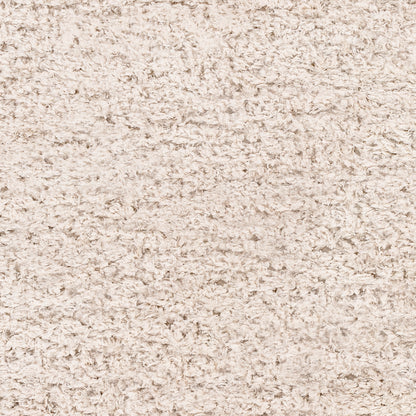 Surya Angora Ang-2301 Oatmeal Area Rug