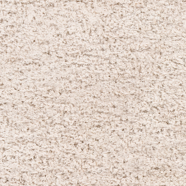 Surya Angora Ang-2301 Oatmeal Rug.