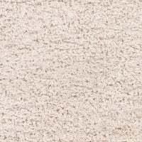 Surya Angora Ang-2301 Oatmeal Area Rug