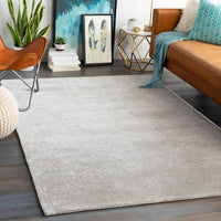 Surya Aspen Anp-2304 Medium Gray, White Solid Color Area Rug