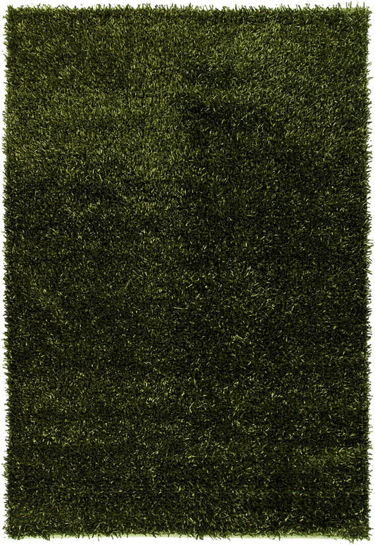 Chandra Anubis Anu5110 Green / Black Shag Area Rug