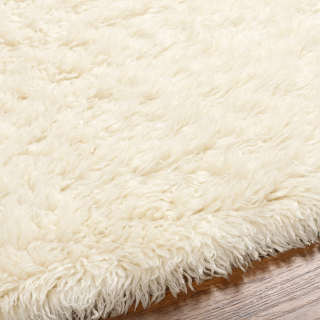 Surya Alpaca Apc-2300 Beige Rug.