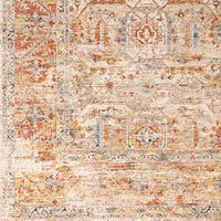 Surya Aspendos Aps-2311 Rose, Clay, Rust, Dark Red Area Rug