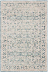 Safavieh Archive Arc674B Blue / Grey Vintage / Distressed Area Rug