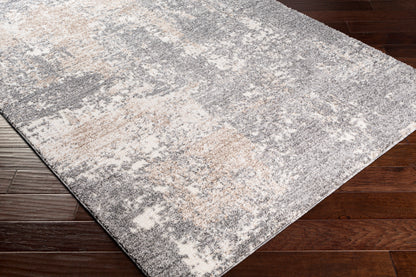 Surya Andorra Ard-2302 Charcoal, Medium Gray, Khaki, White Area Rug