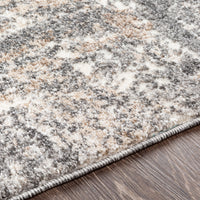 Surya Andorra Ard-2302 Charcoal, Medium Gray, Khaki, White Area Rug