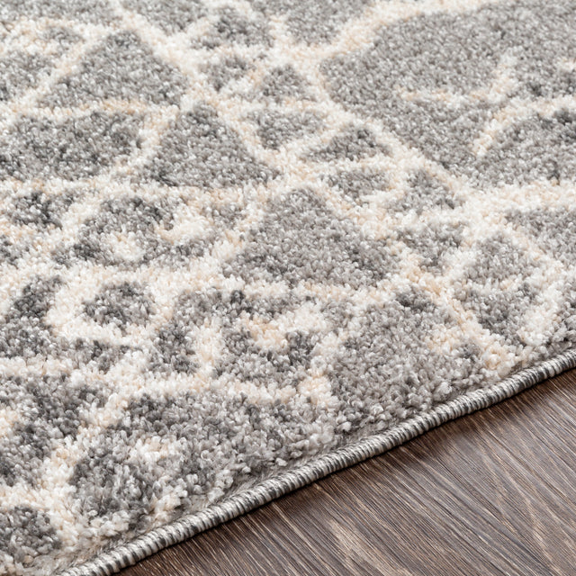 Surya Andorra Ard-2304 Medium Gray, White, Khaki, Charcoal Rugs.