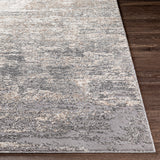 Surya Andorra Ard-2306 Medium Gray, Charcoal, White, Khaki Rugs.
