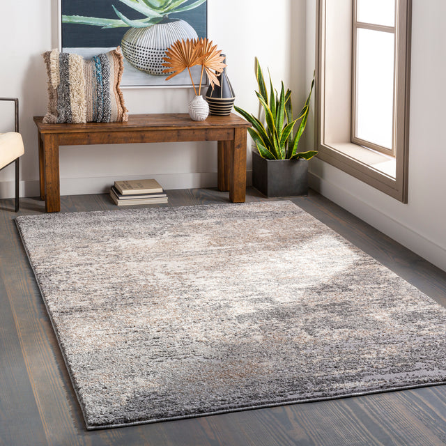 Surya Andorra Ard-2306 Medium Gray, Charcoal, White, Khaki Rugs.