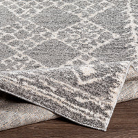 Surya Andorra Ard-2308 Medium Gray, Charcoal, White, Khaki Area Rug