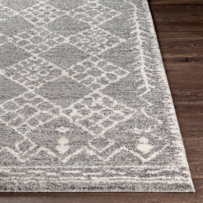 Surya Andorra Ard-2308 Medium Gray, Charcoal, White, Khaki Area Rug