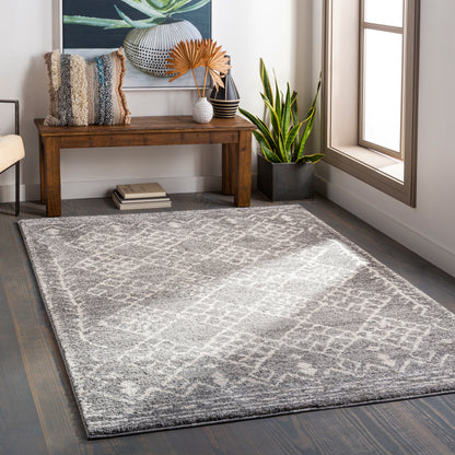 Surya Andorra Ard-2308 Medium Gray, Charcoal, White, Khaki Area Rug