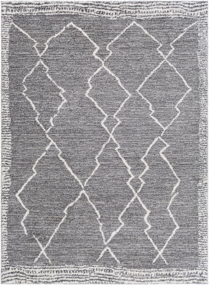 Surya Andorra Ard-2309 Medium Gray, Charcoal, White Area Rug