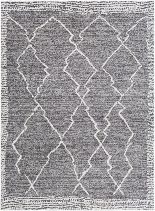 Surya Andorra Ard-2309 Medium Gray, Charcoal, White Area Rug